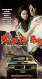 Бег черной кошки