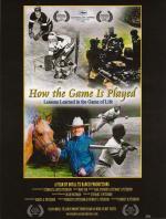 How the Game Is Played: Lessons Learned in the Game of Life