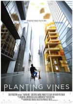 Planting Vines