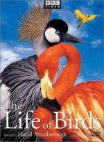&#x22;The Life of Birds&#x22;