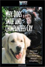 Why Dogs Smile &#x26; Chimpanzees Cry