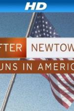 After Newtown: Guns in America