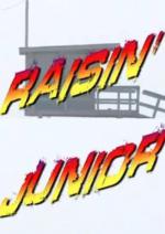 Raisin' Junior Baywatch: Tiger Woods vs. Dale Jr