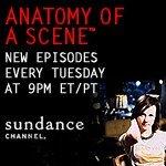 Anatomy of a Scene