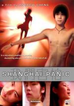 Шанхайская паника
