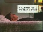 Anatomy of a Working Stiff