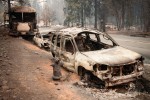 Paradise: One Town's Struggle to Survive an American Wildfire: 1024x681 / 190.31 Кб