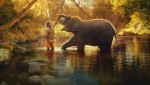 Фото Заклинатели слонов