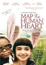 Карта человеческого сердца: 351x500 / 49 Кб