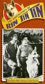 Фото "The Adventures of Rin Tin Tin"