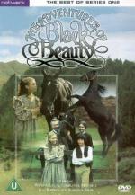 "The Adventures of Black Beauty": 329x475 / 50 Кб
