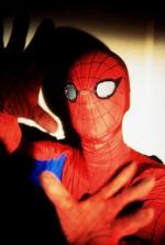 "The Amazing Spider-Man": 298x442 / 20 Кб