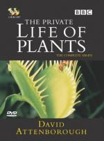 Невидимая жизнь растений: 352x475 / 30 Кб