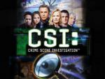 CSI: Место преступления: 356x267 / 24 Кб