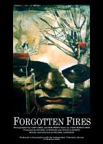Forgotten Fires: 900x1260 / 204 Кб
