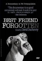 Best Friend Forgotten: 300x427 / 27 Кб