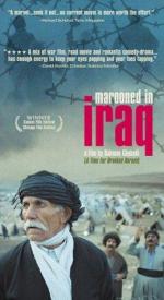 Фото Заблудившийся в Ираке