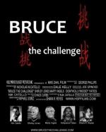 Bruce the Challenge: 487x604 / 46 Кб