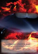 15 Minutes of Flame: 353x500 / 26 Кб
