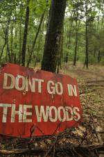 Фото Don't Go in the Woods