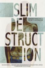 Slim Destruction: 320x480 / 34 Кб
