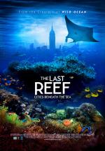 Фото The Last Reef 3D