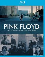 Pink Floyd: The Story of Wish You Were Here: 392x500 / 40 Кб