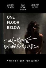 Concrete Underground: 300x444 / 23 Кб