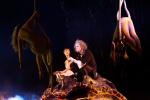 Cirque du Soleil: Сказочный мир в 3D: 1365x910 / 166 Кб