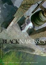 Черный нарцисс: 351x500 / 50 Кб