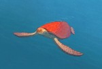 Красная черепаха: 850x571 / 101.89 Кб