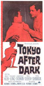 Постер Tokyo After Dark: 765x1500 / 168 Кб