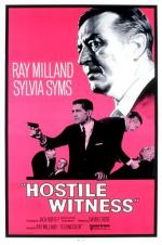 Постер Hostile Witness: 333x500 / 35 Кб