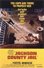 Постер Тюрьма округа Джексон: 732x1137 / 249 Кб