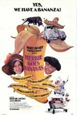 Постер Herbie Goes Bananas: 250x375 / 55 Кб