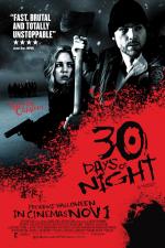 Постер 30 дней ночи: 953x1424 / 269 Кб