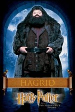Постер Гарри Поттер и философский камень: 507x753 / 88.61 Кб