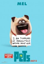 Постер Тайная жизнь домашних животных: 414x604 / 29.47 Кб
