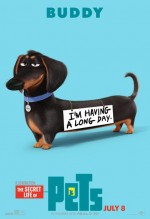 Постер Тайная жизнь домашних животных: 414x604 / 30.47 Кб