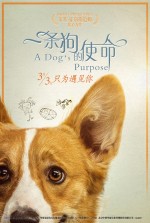 Постер Собачья жизнь: 750x1111 / 307.71 Кб