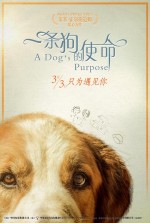 Постер Собачья жизнь: 750x1111 / 262.19 Кб