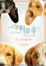 Постер Собачья жизнь: 750x1061 / 309.27 Кб