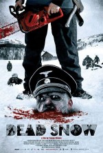 Постер Операция «Мертвый снег»: 500x740 / 93.72 Кб