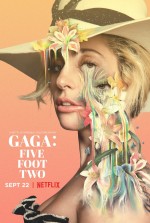 Постер Гага: 155 см: 675x1000 / 202.88 Кб