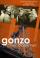 Gonzo Music Diaries, NYC
