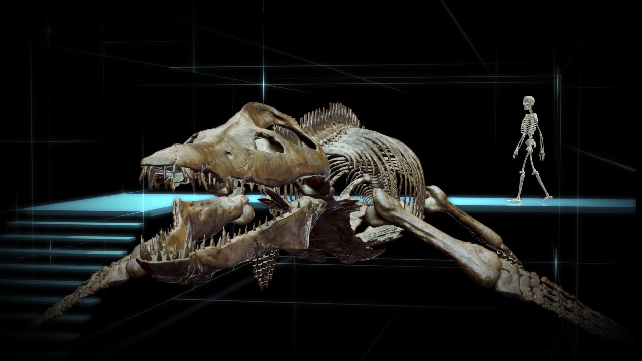 Фото - Морские динозавры 3D: Путешествие в доисторический мир: 1266x712 / 98 Кб