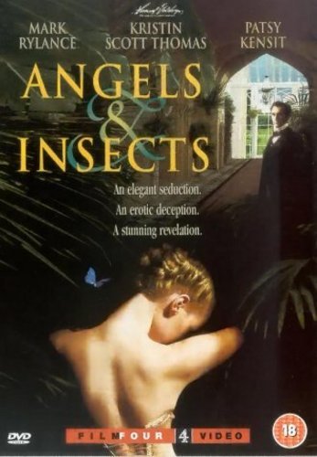 Фото - Ангелы и насекомые: 347x500 / 36 Кб