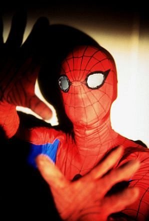 Фото - "The Amazing Spider-Man": 298x442 / 20 Кб
