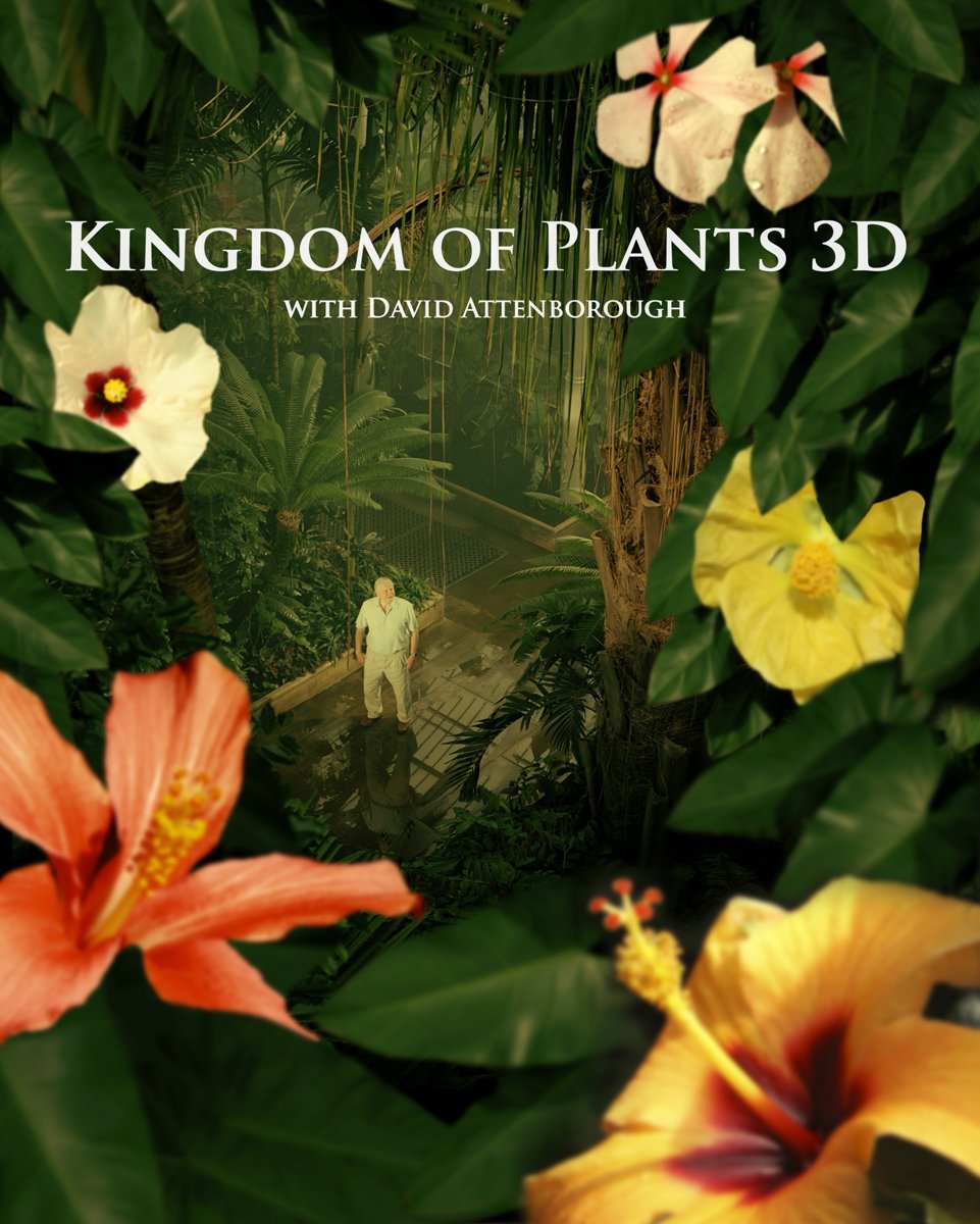 Фото - Kingdom of Plants 3D: 961x1200 / 184 Кб