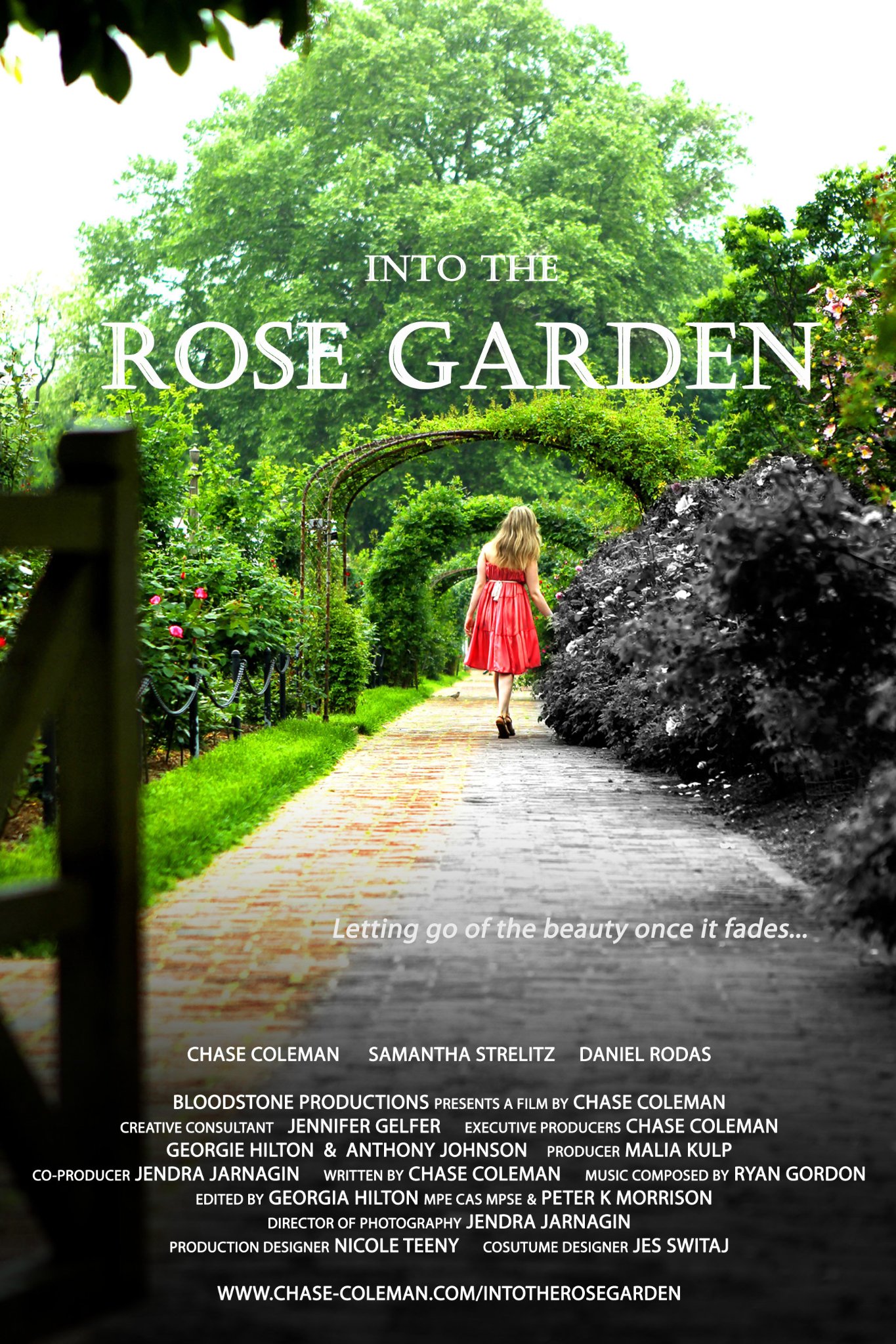 Фото - Into the Rose Garden: 1365x2048 / 633 Кб